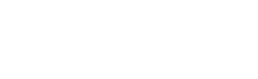Logo_NSE blanc site